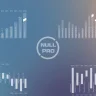 White infographics – Videohive