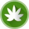 MediGreen - WordPress Theme for Cannabis & Medical Marijuana Shop