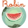 Robin - Cute & Colorful WordPress Blog Theme