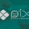 Module Perfex - Connect Pix Offline