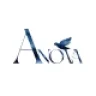 Anova - Charity & Donation WordPress Theme
