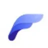 FlyingPress