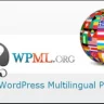 WPML - Multilingual CMS WordPress Plugin