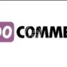 WooCommece Sale Flash Pro